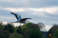 DSC_0205